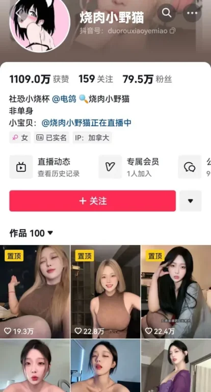 【PIKPAK】【多肉小野猫】抖音欠操骚逼网红 人妻风系列合集【104v 258.5MB】