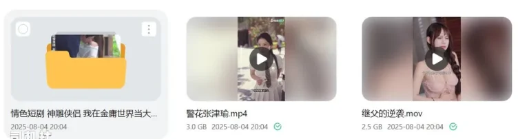 【PIKPAK】91色情短剧三部合集 神雕侠侣 继父的逆袭 警花张津瑜【3V 6.5g】