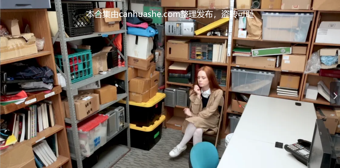 【PK】欧美【SHOPLYFTER超市小偷】系列合集【28v 72g】