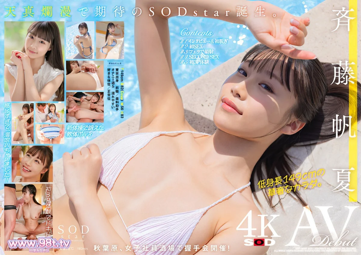 【ed2k丨整理】斉籐帆夏 4K原档、4K60帧原档、4K和8K VR原档合集【172gb/17v/17配额】