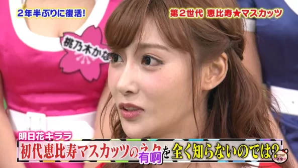 【PK】AV女优综艺节目【麝香葡萄之夜】中文字幕两季合集【42V 16G】