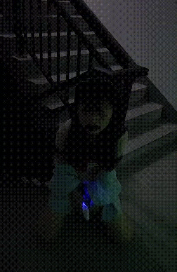 【PK】玩物直播调教大神【南烟s】圈养母狗SM合集【14v 23G】